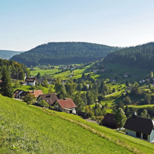 Nördlicher Schwarzwald