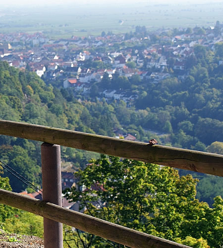 Elz Rheinland-Pfalz
