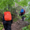 Frankenwald wandern
