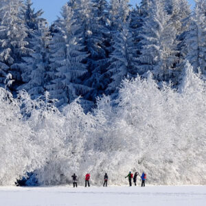 Wandern im Winter