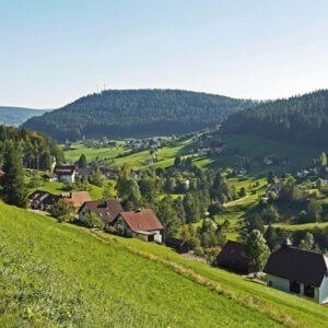 Schwarzwald