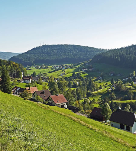 Schwarzwald Blick ins Tal
