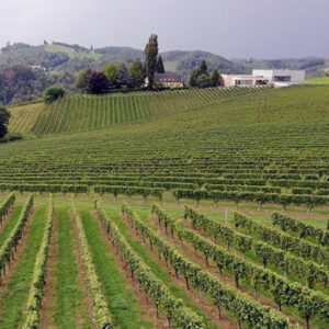 Weinviertel Pyhra in Österreich