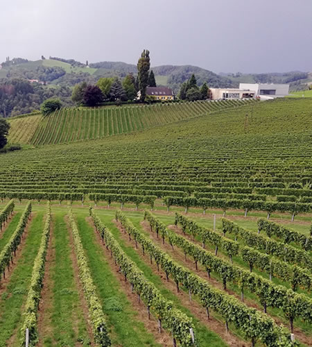 Weinviertel Pyhra in Österreich