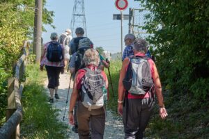 Schritt für Schritt Mainz