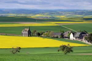 Marsch mit Aussicht – Eifel 70K / Eifel 50K