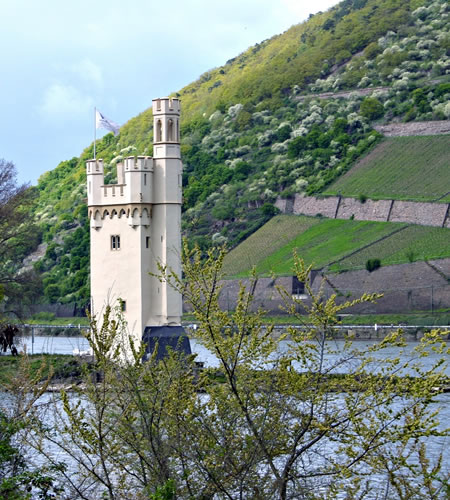 Bingen am Rhein