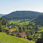 Ultramarsch Black Forest 2025 – Wenn Schmerz auf Stolz trifft und der Schwarzwald bebt