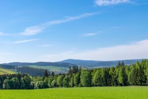 Ultra Adventure Hike – Der grüne Rebell
