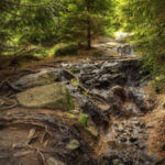 Gruppenlogo von Event-News & Tipps