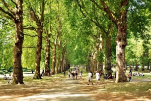 Walk of Light London